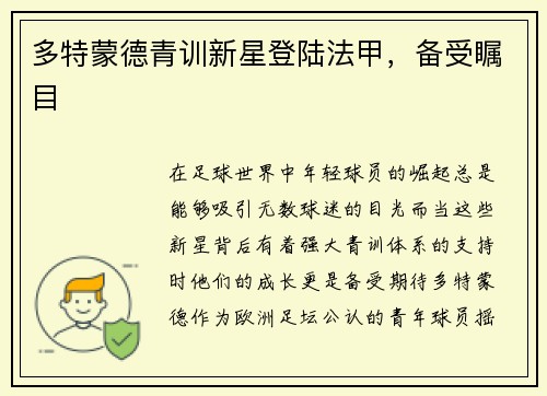 多特蒙德青训新星登陆法甲，备受瞩目