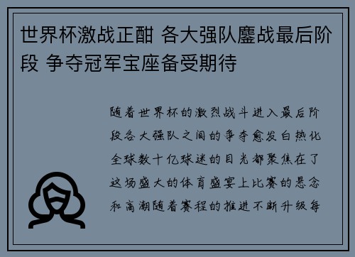 世界杯激战正酣 各大强队鏖战最后阶段 争夺冠军宝座备受期待